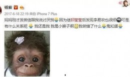 理智吃瓜娱乐,揭秘娱乐圈背后的真实故事